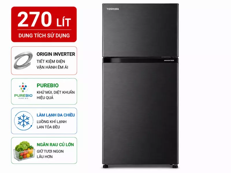 Tủ lạnh Toshiba Inverter 270 lít GR-RB350WE-PMV(30)-BS