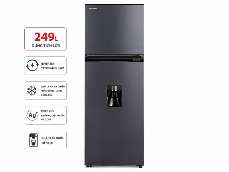 Tủ lạnh Toshiba Inverter 249 lít GR-RT325WE-PMV(06)-MG