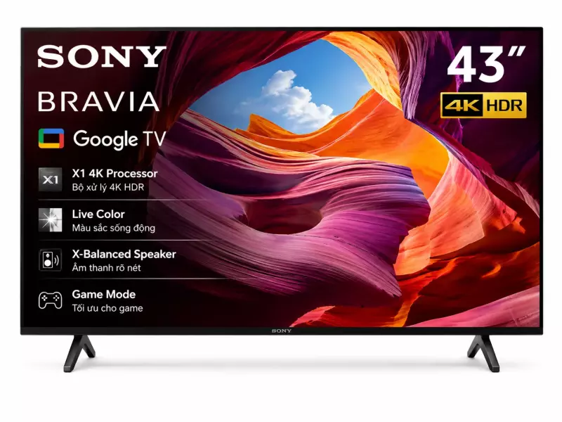 Google Tivi Sony 4K 43 inch K-43S25VM2