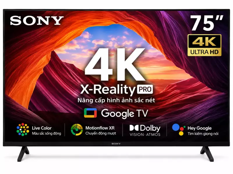 Google Tivi Sony 4K 75 inch K-75S25VM2
