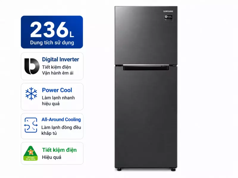 Tủ lạnh Samsung Inverter 236 lít RT22M4032BU/SV
