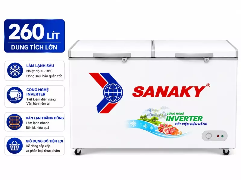 Tủ đông Sanaky 260 lít VH-3699W1